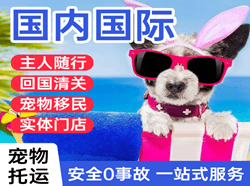 张家界荷花航空快递国际宠物托运 【国
